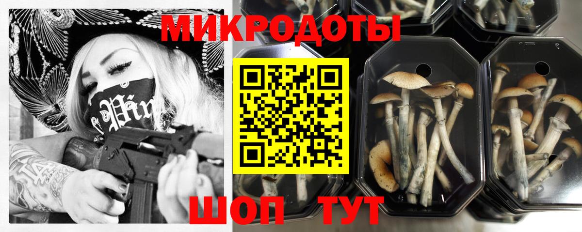 Галлюциногенные грибы мухоморы Городец